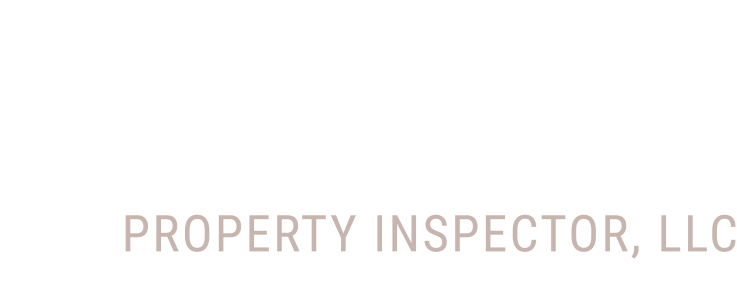 The Professional Property Inspector